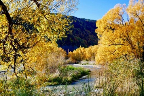 Shades of Arrowtown, Забронировать Мини-отель Арроутаун 