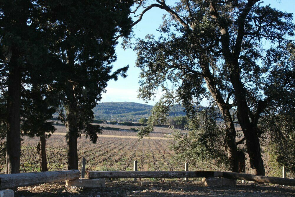 Domain Selhac: Cottages in Frontignan