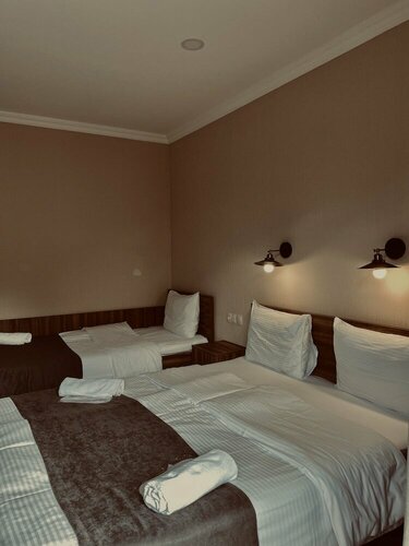 Hotel Gold Kazbegi, Prenota Hotel Hotel a Mtkheta-Mtianeti con parcheggio, Parcheggio