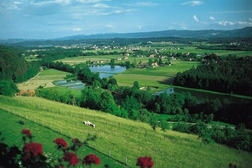 Berghof Vital, Rezervasyon Otel Graz Region Graz