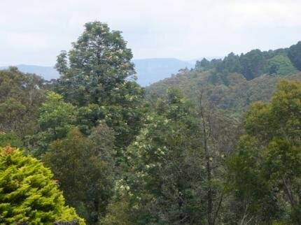 Blue Mountains Motel Inn