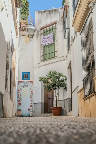 Calleja de La Pimentera
