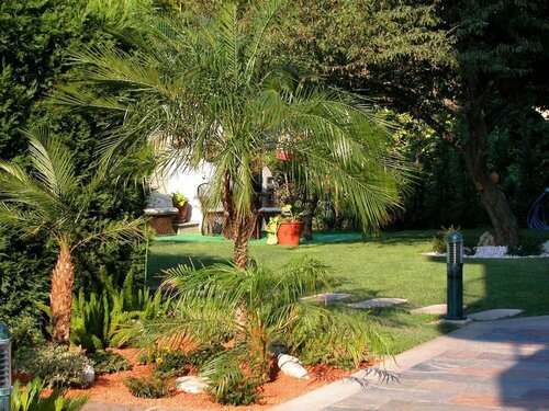 Hotel Piñeiro 2 Estrellas Superior, Забронировать Отель Отели O Grove Peninsula с питанием, Пансион