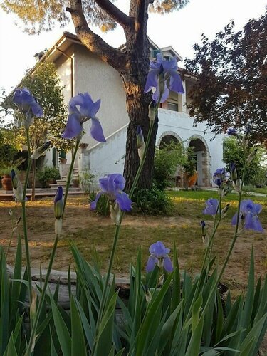 MeraVilla B&B, Book Bed and Breakfast Hoteller i Marche med parkering, Parkering