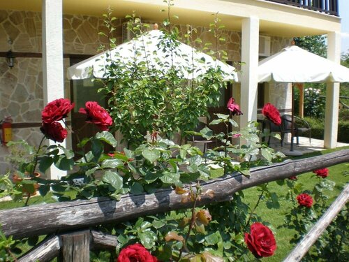 Olympia Guesthouse, Забронировать Гостевой дом Вергина Imathia Prefecture, рядом с Вергина-Эги