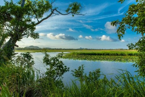 Uga Ulagalla - Anuradhapura, Забронировать Курортный отель Отели Анурадхапура с завтраком, Завтраки