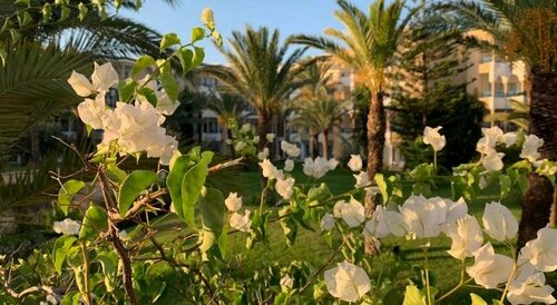 Hasdrubal Thalassa & Spa Yasmine Hammamet, Reserva ahora Resort Hoteles todo incluido en Susa, Todo incluido
