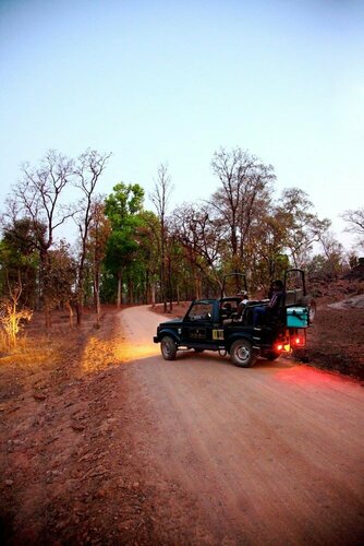 Tuli Tiger Resort, Réserver Complexe hôtelier Hôtels resort à Kisli, Complexe hôtelier