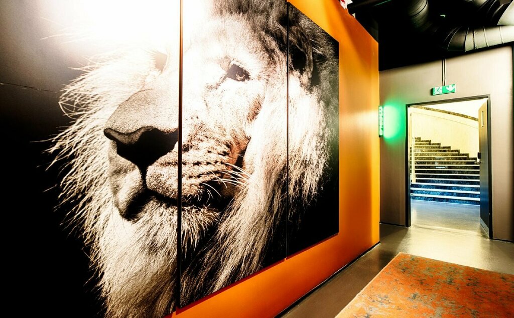 Fusion Hotel