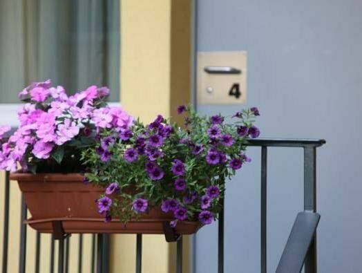 Olive Boutique Hotel