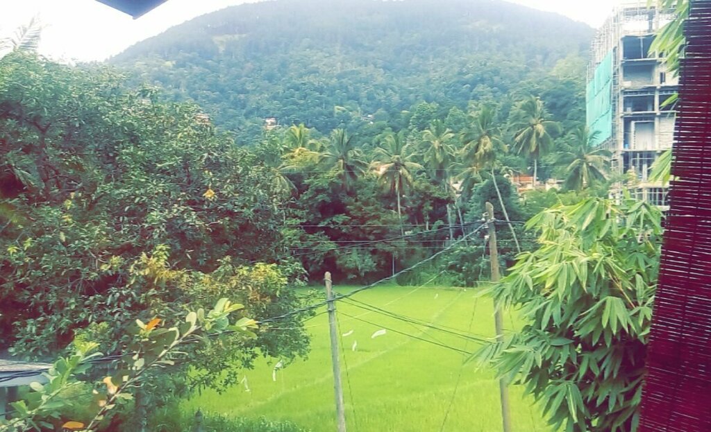 Shire