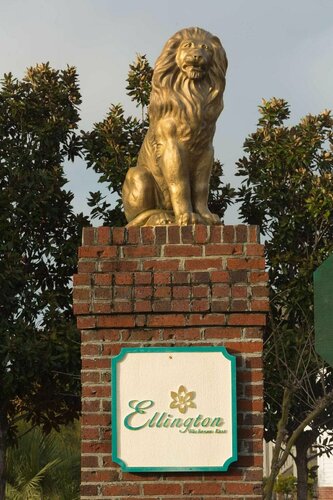 Festiva Wachesaw Plantation East, Забронировать Отель Отели Южной Каролины 3 звезды, 3*