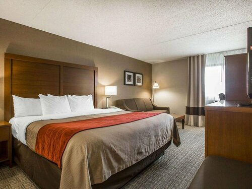 Comfort Inn Albany/Cohoes, Book Hotel  