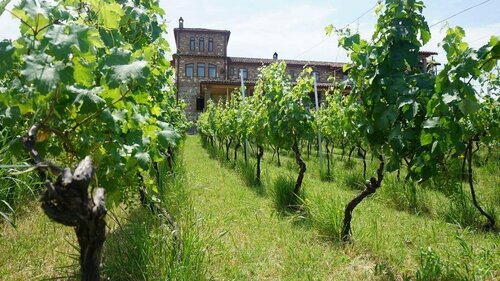 Schuchmann Wines Château,Villas & SPA, Reserva ahora Resort Hoteles de 4 estrellas en Kakheti, 4*