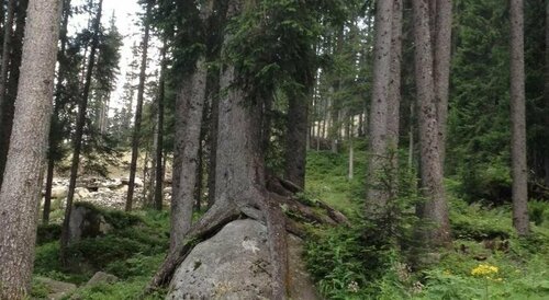 B&B Rendena Chalet, Забронировать Шале Стрембо Мадонна-ди-Кампильо