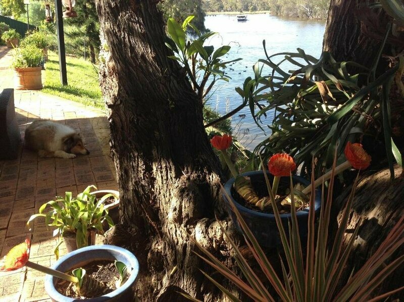 Riverfront71 B&B