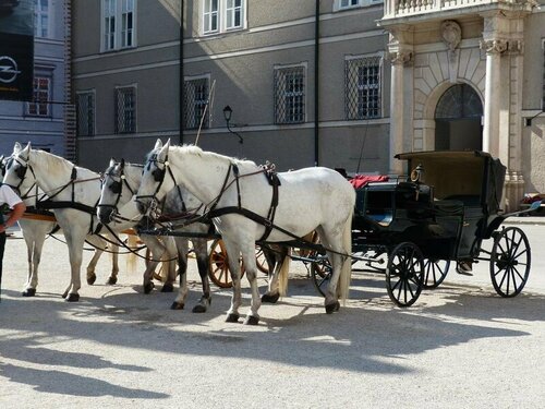 Amedeo Zotti Residence, Reserva ahora Apartahotel  