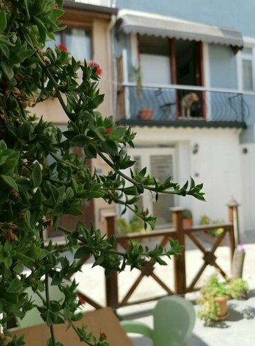 Town Hotel Mudanya, Rezerwuj Hotel Hotele w Mudanya z parkingiem, Parking