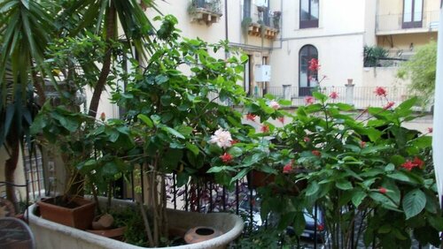 La Terrazza, Забронировать Апартаменты/квартира Отели Катании с парковкой, рядом с Кафедральный собор Катании, Парковка