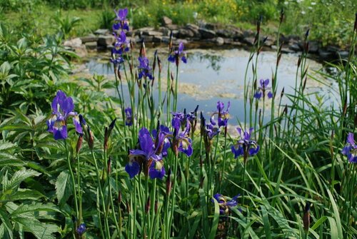 B&B Au Bord De La Source, Забронировать Отель «постель и завтрак» Эрезе Land of Ourthe & Aisne