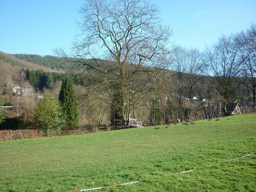 Les midis au vert - gîte pour 11 personnes, Prenota Hotel Stavelot Pays des Sources