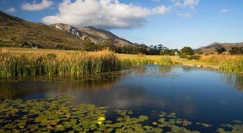 White Water Farm, Reservar Casa de campo Stanford Hermanus