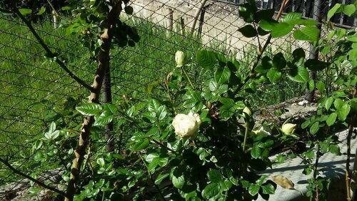 La Magnolia B&B, Book Bed and Breakfast Hoteller i Abruzzo med parkering, Parkering