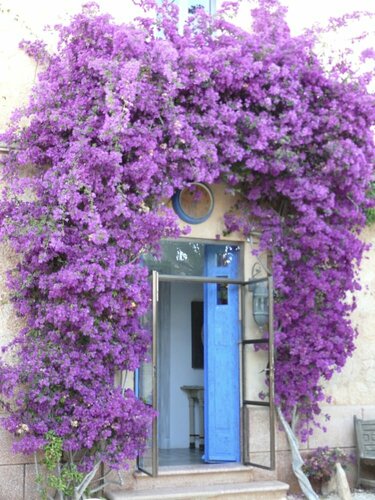 Villa Station Las Salinas, Book Hotel Balearic Islands Spain