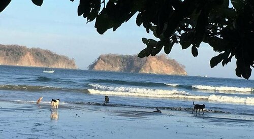 Las Perlitas Playa Samara, Book Hotel Samara hoteller med pool, Swimmingpool