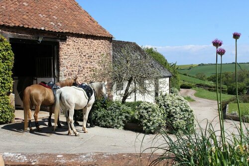 Pardlestone Farm: B&B, Varaa Bed and Breakfast Hotellit Merseyside aamiaisella, Aamiainen