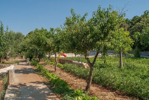Agriturismo Antonelli Piangevino, Buchen Sie Bauernhof Antonelli Itria-Tal