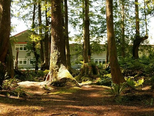 Hotel Zed Tofino, Rezervați Hotel Tofino Pacific Rim Vancouver Island