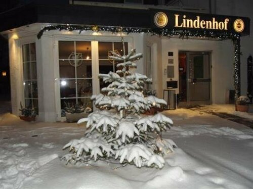 Hotel Lindenhof, Забронировать Отель Зундерн Зауэрланд, рядом с Дамба Зорпе