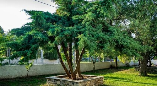 Villa Dafni Studios, Book Villa Hotels in Thassos with Parking, Parking
