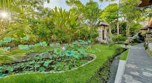 Alam Jiwa Ubud, Prenota Hotel Ubud Gianyar, vicino a Foresta delle scimmie