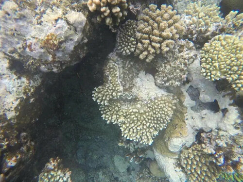 Star Of Dahab Hotel, Забронировать Отель Дахаб Южный Синай