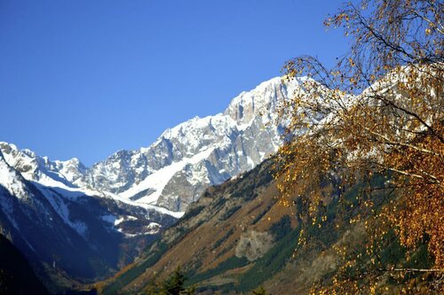 Hotel Walser Courmayeur, Забронировать Отель Курмайор Курмайор