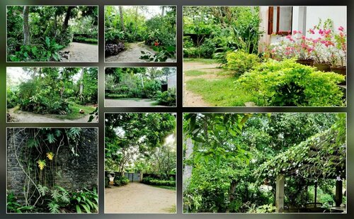 Green Corridor - Ahangama, Забронировать Отель «постель и завтрак» Недорогие отели Ахангама, недорогие
