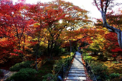 Villa Kyoto Saiin, Prenota Villa Ville a Ine, Villa