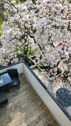 Villa am Park, Забронировать Вилла Отели Бад-Цвишенан 4 звезды, рядом с Zwischenahner Meer, 4*