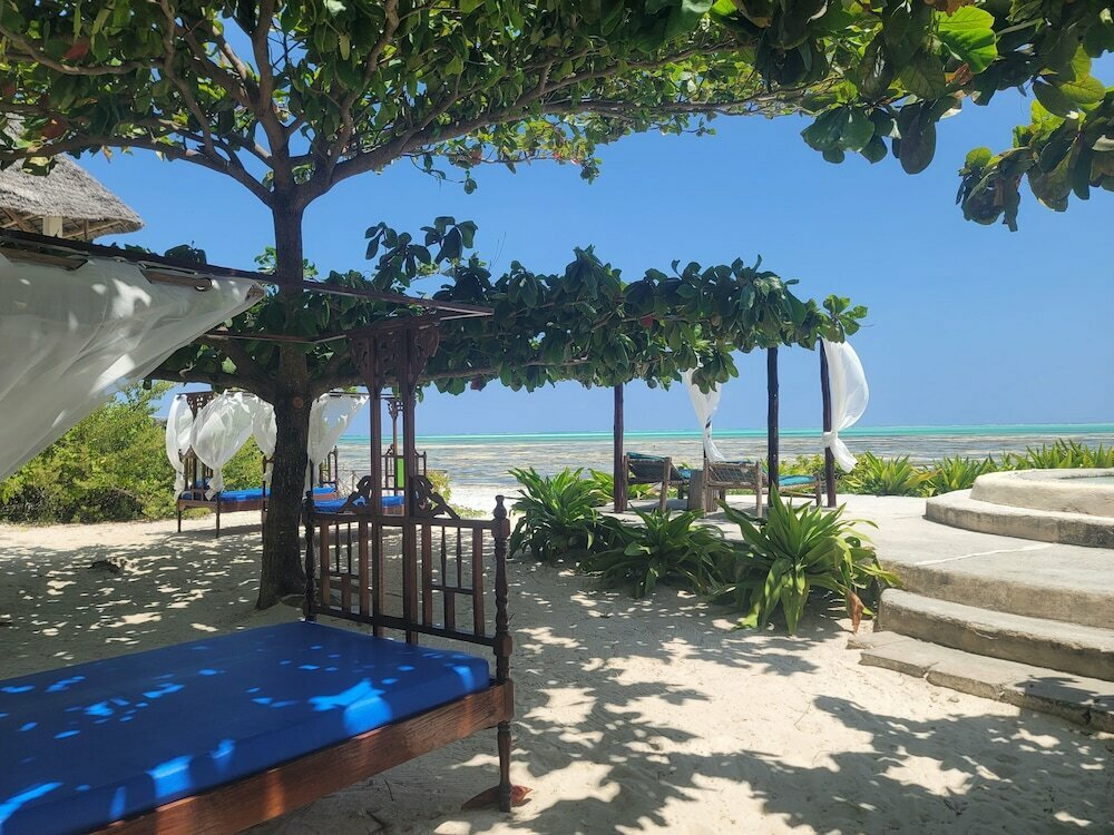 Driftwood Beach Lodge