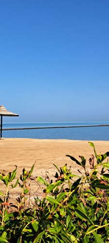 SeaView Turtles, Забронировать Апартаменты/квартира Апартаменты Хургада, Апартаменты/квартира