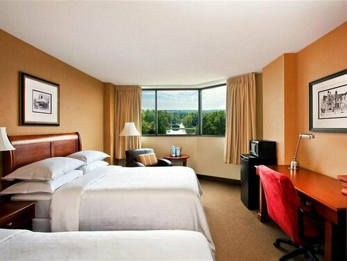 Four Points by Sheraton Richmond, Reserva ahora Hotel Hoteles en Midlothian con piscina, Piscina