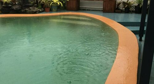 Black Marlin Motel, Reserva ahora Motel Hoteles en Innisfail con aparcamiento, Aparcamiento