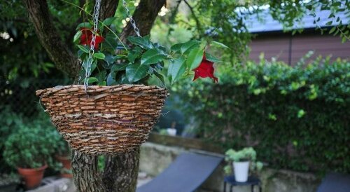 B&B Ca Rina, Prenota Bed & breakfast Preganziol Veneto