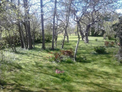 Moen Oekologisk Bed & Breakfast, Prenota Locanda Askeby Mon
