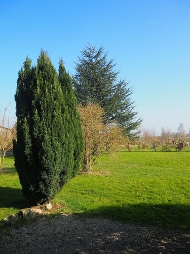 La Ferme Des Buis, Buchen Sie Bed & Breakfast Sainghin-en-Weppes Frankreich