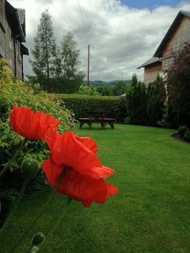 Buttonboss Lodge B&B, Prenota Bed & breakfast Pitlochry Perthshire