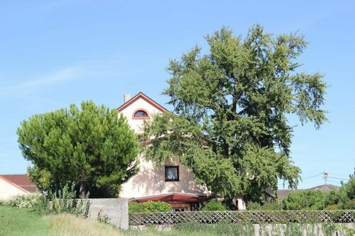 Hotel Tenner, Забронировать Отель Нойштадт-ан-дер-Вайнштрасе Wine Route