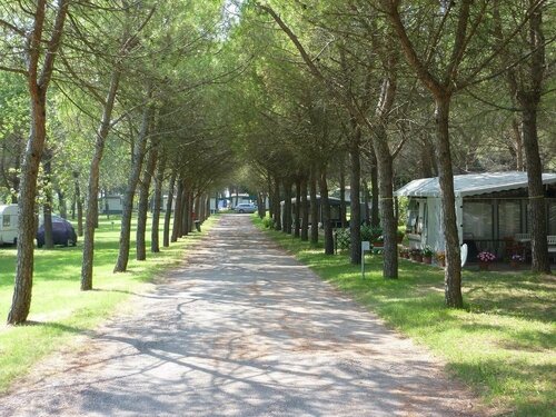 Belvedere Pineta Camping Village Grado, Забронировать Кемпинг Отели Аквилея 4 звезды, 4*